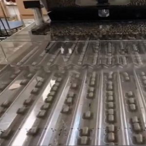 Precision in Every Capsule