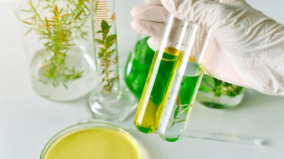 Laboratory analysis of botanical extracts under controlled conditions